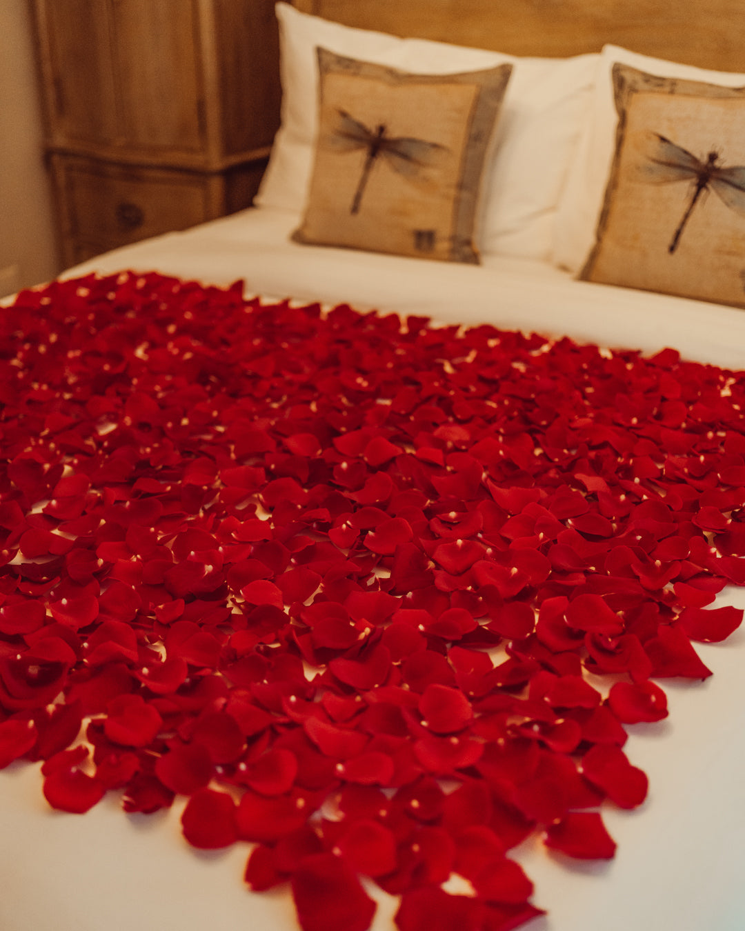 Lavish Bed of Roses
