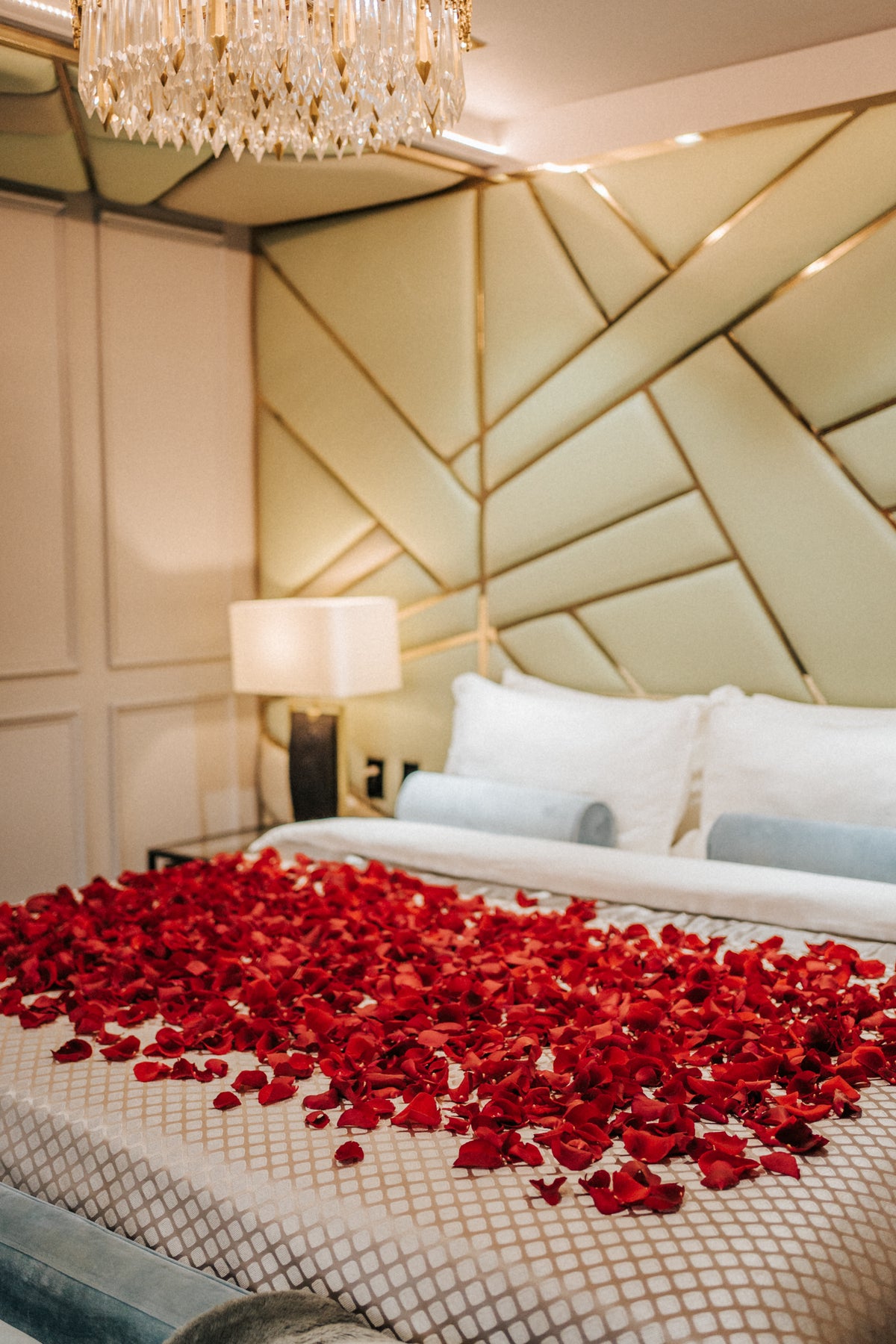 Bed of Roses* – The O:live Experience